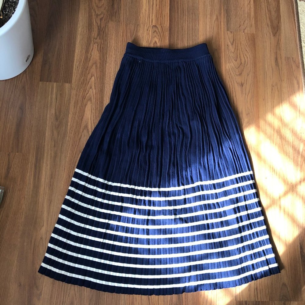 Miss patina skirt (Aritzia)